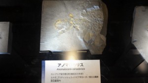 201511031239