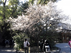 201603121459