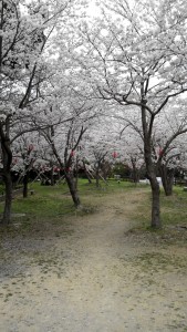 201404021218